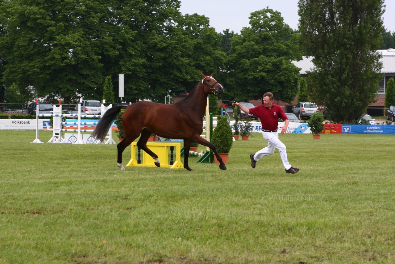 Bild 107 - Elmshorn am 9.6.10